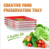 Food Preservation Tray - Dream Morocco
