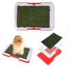 Potty Patch- Designed for Amazing Dogs - Dream Morocco