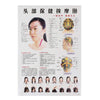 Meridian Acupuncture Points Map Chinese and English Chart (7Posters) - Dream Morocco