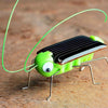 Solar Grasshopper - Dream Morocco